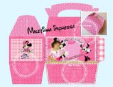 Box Maletinhas  Minnie